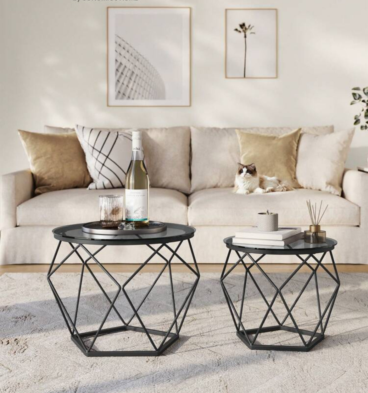 LOT 2 TABLES BASSES HEXA (NOIR ou BLANC)